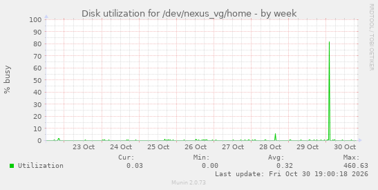 Disk utilization for /dev/nexus_vg/home